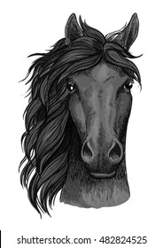 Horse Full Face Artistic Portrait. Mustang Stallion With Mane Looking Straight Forward