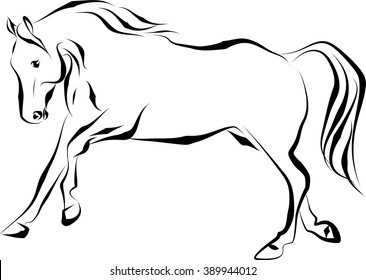 Horse gallop