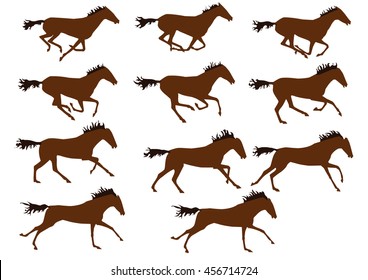 Horse gallop cycle