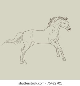 horse gallop vector
