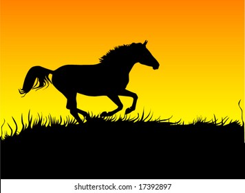 horse galloping on sunset