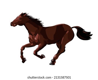 Horse Galloping Vector Illustration Isolated On Stock Vector (Royalty ...