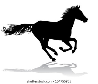 A horse gallops fast, vector illustration silhouette on a white background.