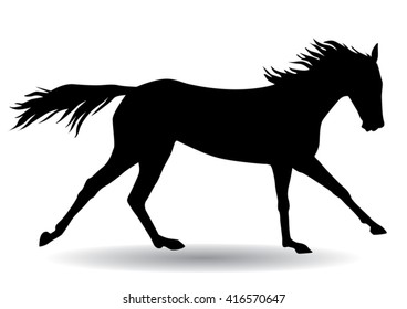 A horse gallops fast, vector illustration silhouette on a white background