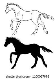 The horse gallops. The linear figure of a horse also appears. Horse racing, running. 
hand drawing