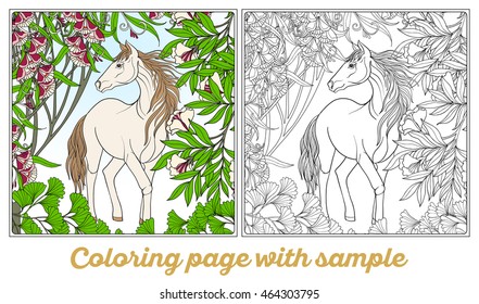 Horse in garden. Vector illustration. Coloring book for adult and older children. Outline drawing coloring page with sample.