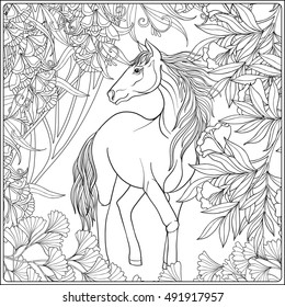 Horse in garden. Vector illustration. Coloring book for adult and older children. Outline drawing coloring page.