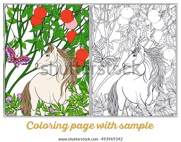 horse garden vector illustration coloring book stock vector