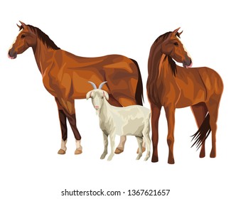 horse and goat