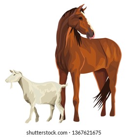 horse and goat
