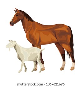 horse and goat