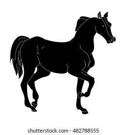 The horse goes trotting pony silhouette on white background, vector illustration