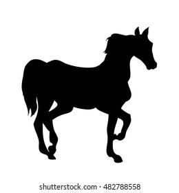 The horse goes trotting pony silhouette on white background, vector illustration