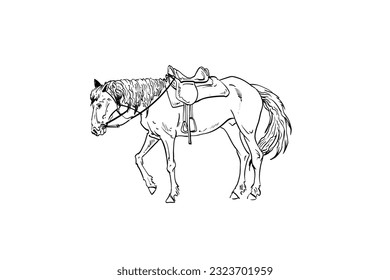 Horse are grazing in a meadow. Rural landscape hand drawn vector illustration.