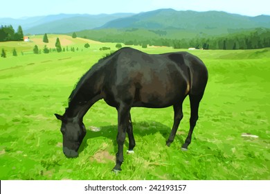 horse grazing on a meadow - vector realistic image