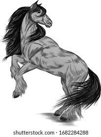 horse grey and black vector illustration