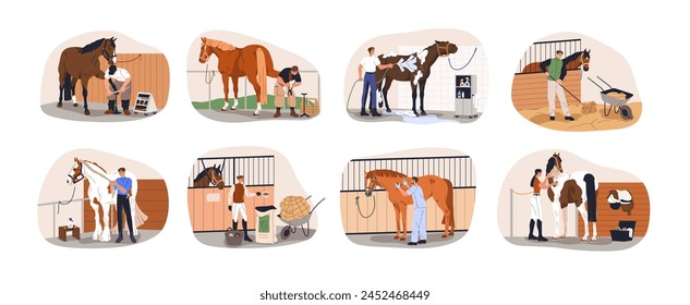 Cuidado de caballos y equinos en establo. Cepillado, semental de lavado, herradura profesional, limpieza y limado de pezuñas, equipo de revisión veterinaria. Ilustración vectorial plana aislada sobre fondo blanco