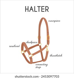 Horse Halter Parts. Infographic banner with detailed names. Stable equipment. Equestrian leather tack. Equine sports informational educational poster. Vector illustration colored flat hand drawn style