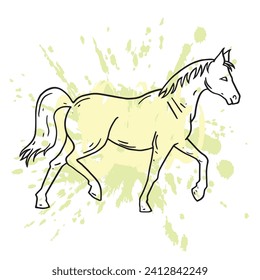 Horse hand drawing illustration vector