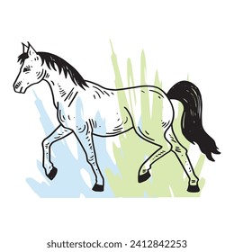 Horse hand drawing illustration vector