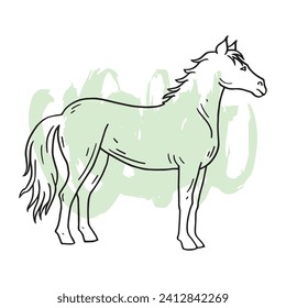 Horse hand drawing illustration vector