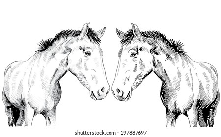Horse Hand drawn sketch. Vector illustration.