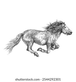 Horse, hand drawn sketch in vector, vintage illustration of running steed in engraving style