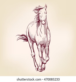 horse hand drawn vector llustration realistic sketch