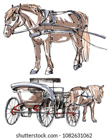 Horse in harness sketch