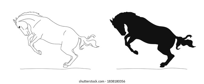 Horse having fun and jumping on the loose line image and vector silhouette
