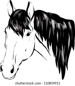 horse head