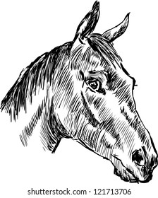 horse head