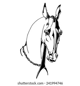 Horse. Head