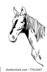 Horse head