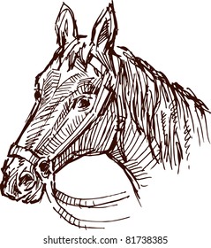Horse head