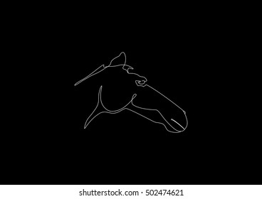 Horse head at black background