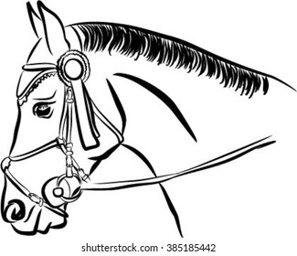 Horse head in bridle