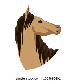 Horse head cartoon