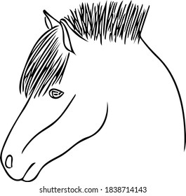 Horse head close-up.  Vector sketch illustration of a horse farm animal.