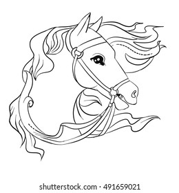 Horse head for coloring book.