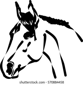Horse head draw