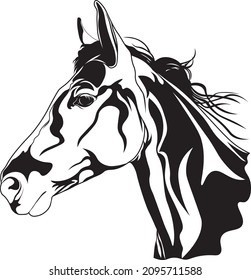 Horse head drawing for animal prints, wall art, and home decor	