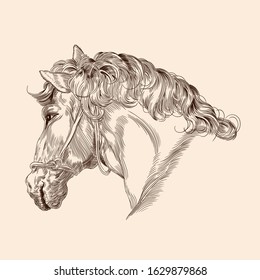 Horse head drawing with mane and harness in vintage style on a beige background. Close-up.