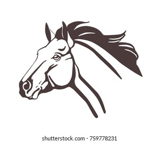 Horse head drawn with contour lines isolated on white background. Realistic outline drawing of face of beautiful farm domestic animal with mane waving in wind. Monochrome vector illustration.