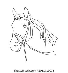 Horse head in equipment close-up sketch in line art style.