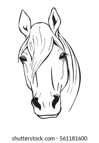 horse head, farm animal, black and white vector illustration in graphic style