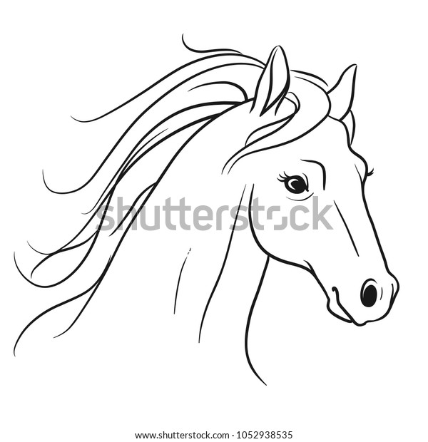 35+ Latest Side View Flowing Mane Horse Head Drawing