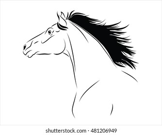 Horse head with flying mane vector illustration