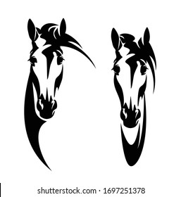 horse head front view head outline - black and white vector design of en face mustang portrait