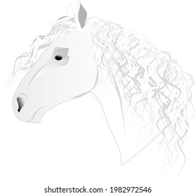 horse head good white vector